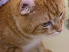 -平行世界·猫咖(首经贸店)