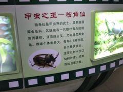 -上海昆虫博物馆