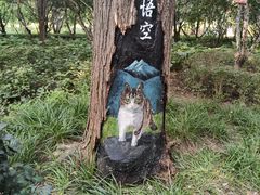 -迎泽公园