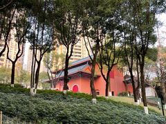 -重庆市江北嘴中央商务区中央公园