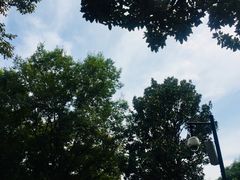 -荆川公园