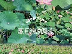 -保定东湖公园(莲池区)