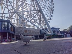 -南昌之星摩天轮