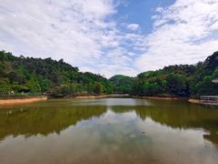 -中山市树木园