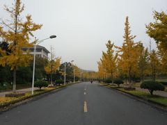 -浙江农林大学(东湖校区)