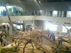-自贡恐龙博物馆