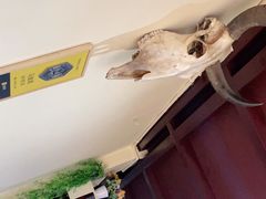 -藏味八珍特色火锅