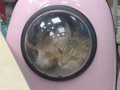 -美联众合动物医院(·中兽医·疑难杂症·严家桥分院)