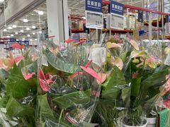 -山姆会员商店(杨桥西路店)
