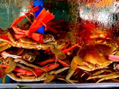 -胜海大排档·海鲜·黄鳝饭(十年老店)