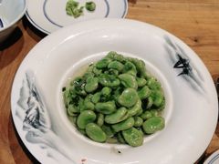 -椿不老
