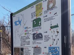 -钏路市丹顶鹤自然公园