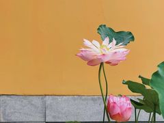 -点都德(夫子庙店)