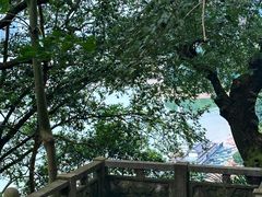 -严子陵钓台(富春江小三峡)