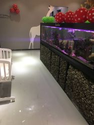 -可爱多国际儿童摄影会馆(龙泉店)