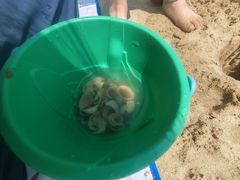 -南戴河国际娱乐中心