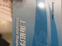 -龙阳路磁悬浮列车总站-停车场