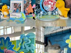 -海合安天津极地海洋公园