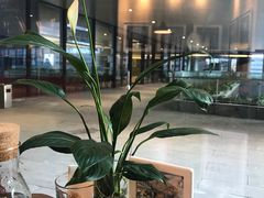 景观位-G+KITCHEN(龙湖狮山天街店)