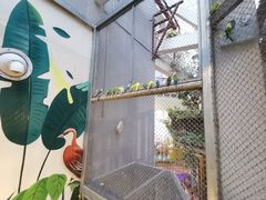 -正佳雨林生态植物园