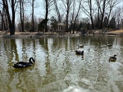 -北京野生动物园