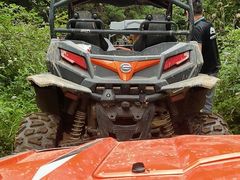 -武陵山森林公园