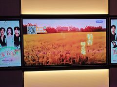 -星聚会KTV(南翔印象城MEGA店)