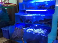 -韩妹鱼庄·泸定老字号(泸定店)