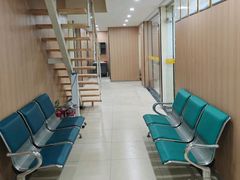 -米苏动物医院·犬猫专科·骨科外科内窥镜