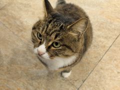 -九寨沟石锅鱼(沣峪口店)