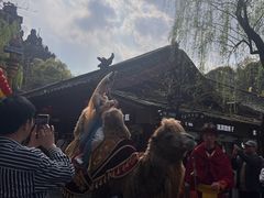 -杭州宋城
