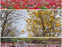 -盈香心动乐园
