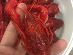 -龙虾风暴(松江店)