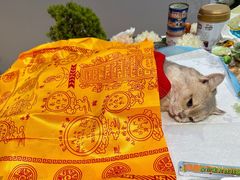 -爱诺耐芙动物医院(万博店)