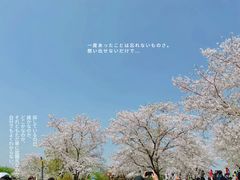 -上海辰山植物园