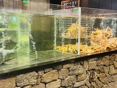 -桂满陇·杭州小馆(朝阳合生汇店)