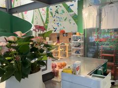 -绿壁虎攀岩基地(Tcar店)