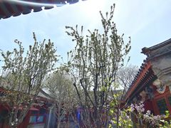 -北京古城老院厉晓麟精致菜