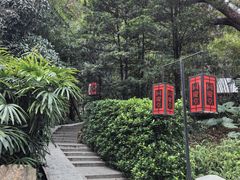 -同庆堂(解放北路店)