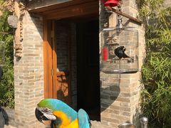 -那家小馆•北京菜•烤鸭(中关村店)