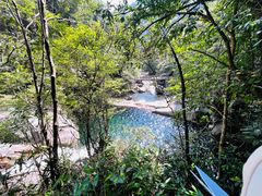 -大鄣山卧龙谷景区