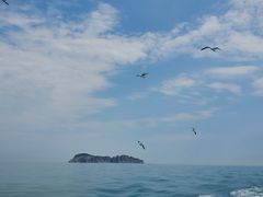 -海驴岛(荣成市)