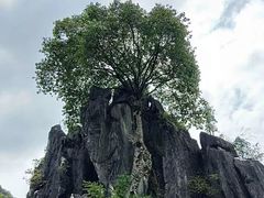 -玉石林风景区