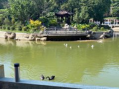 -广州市帽峰山景区