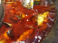 红汤梭边鱼锅-新辣道鱼火锅(上地华联店)