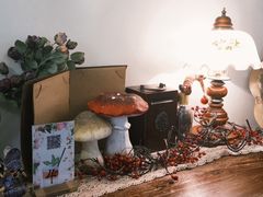 -春风·有糖(崇宁路店)