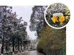 -贵州省植物园