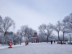 -滨州铁路桥