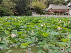 -南宁南湖公园