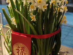 -香港皇家太平洋酒店